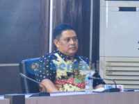 sidesa7